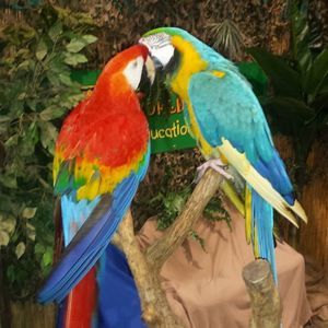 Meet your Posher, Jaime